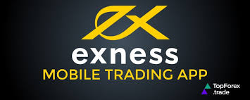 Understanding Exness Server Location The Key to Optimal Trading